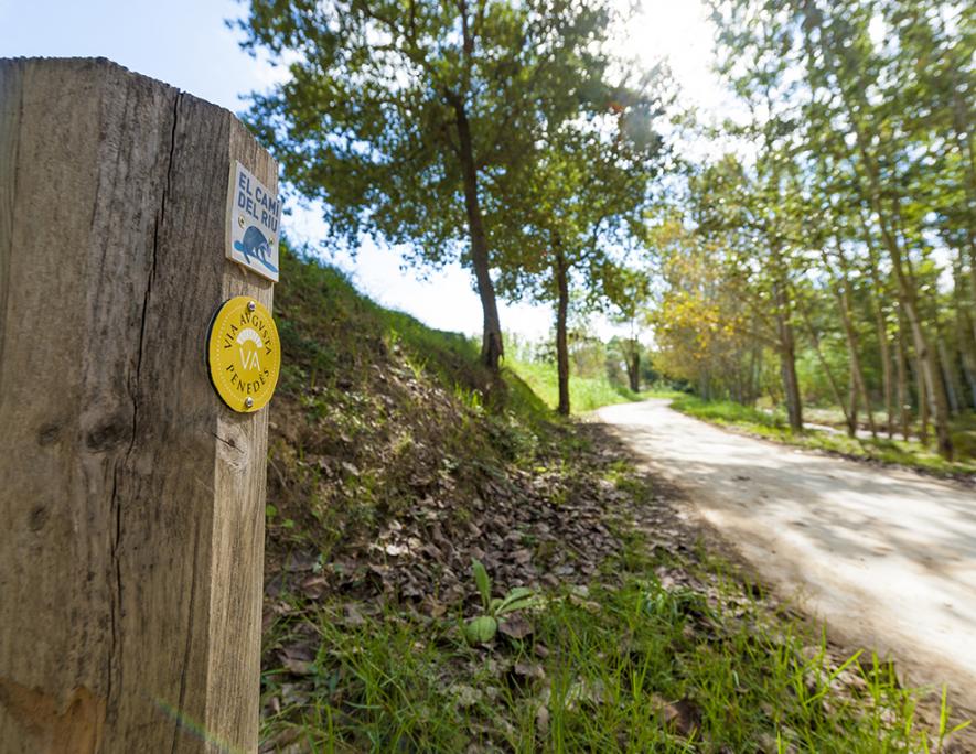 Sant Sadurní d'Anoia - Lavern Subirats